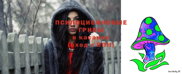 бошки Краснослободск