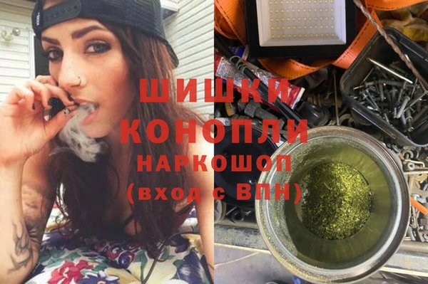 бошки Краснослободск